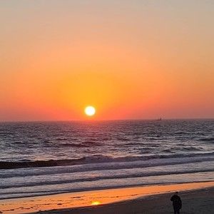 Meet your Posher, Shelley